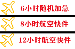 龙嘉机场快递快递公司,专业空运当天件